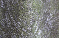 Dulnain Bridge fibreglass roof work